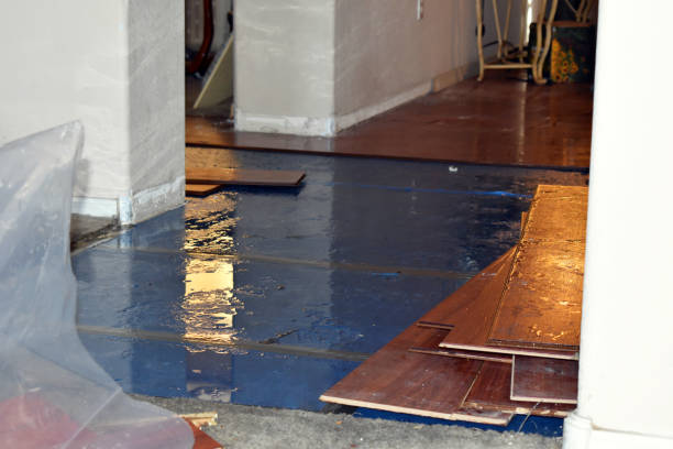 Professional Burst Pipe Cleanup technician working in Somonauk, IL