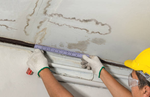 Reliable Burst Pipe Cleanup contractor in Somonauk, IL by Water Damage Irwin